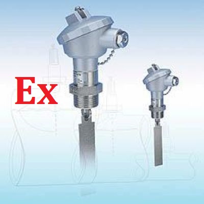 ATEX stainless steel Paddle Flow Switches